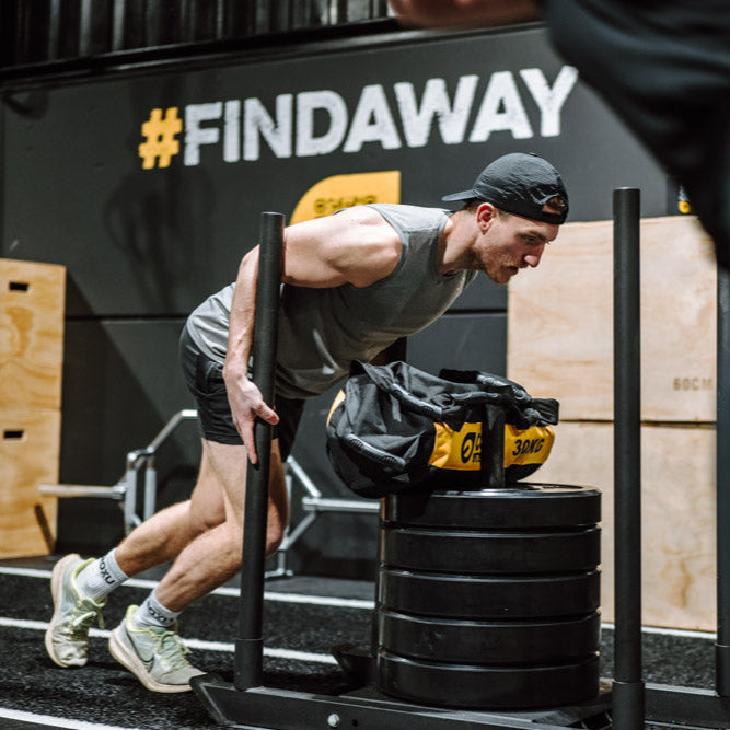 Prowler Dog Sled