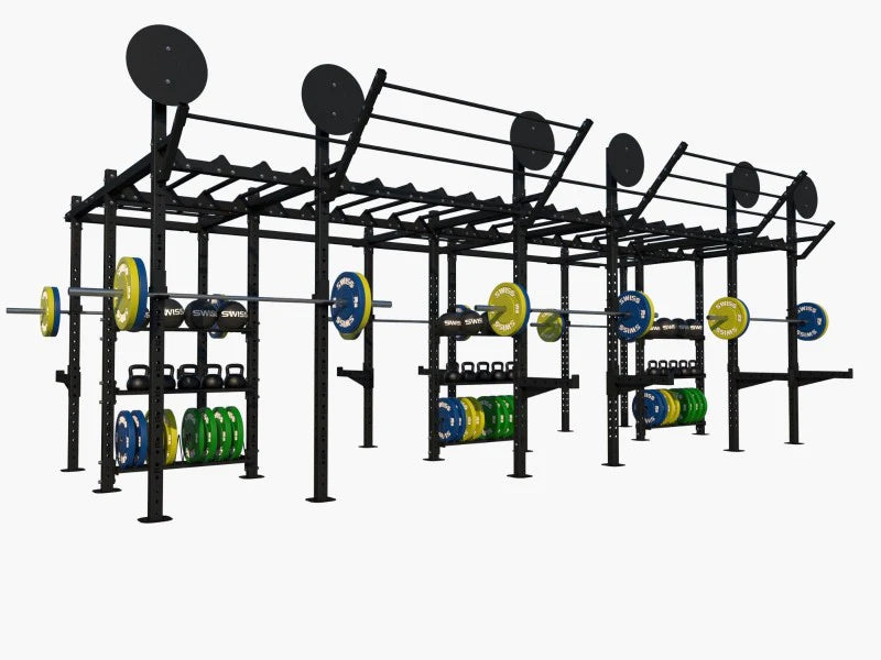 Free Standing Gym Rigs