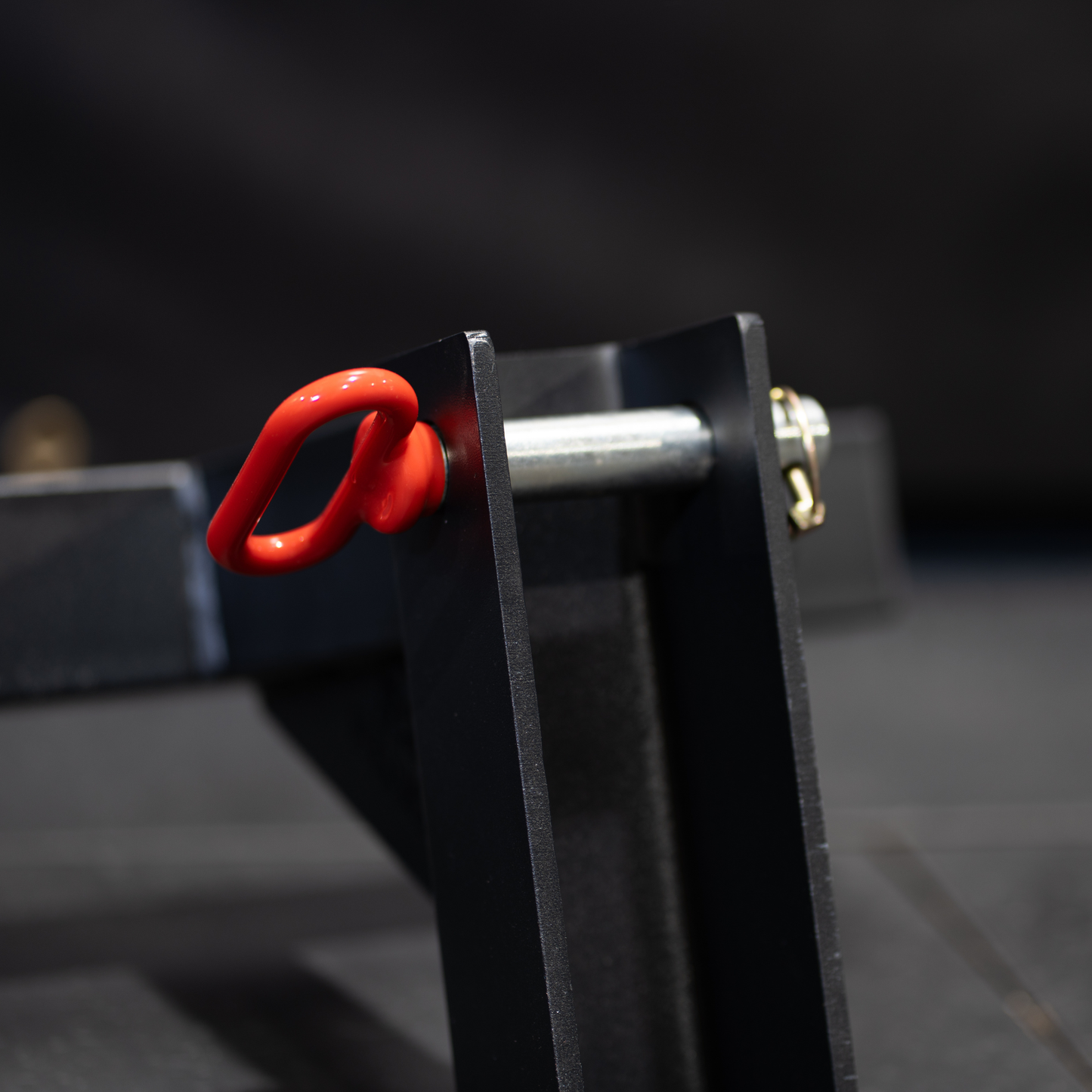 Rig and Rack Dip Attachment