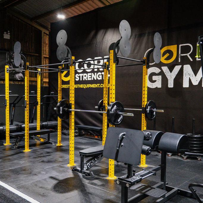 Free Standing Gym Rigs