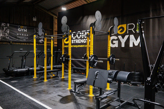 Free Standing Gym Rigs