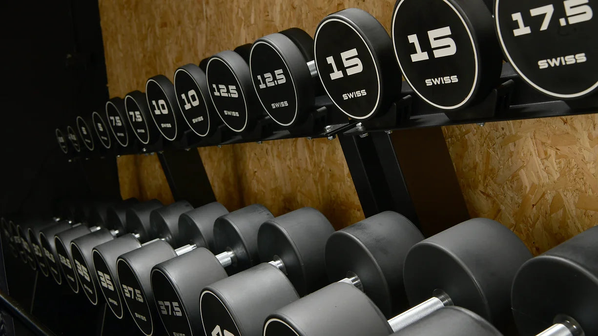 Elite fitness dumbbells hotsell